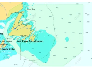 C-MAP M-NA-D937 4D Local Newfoundland