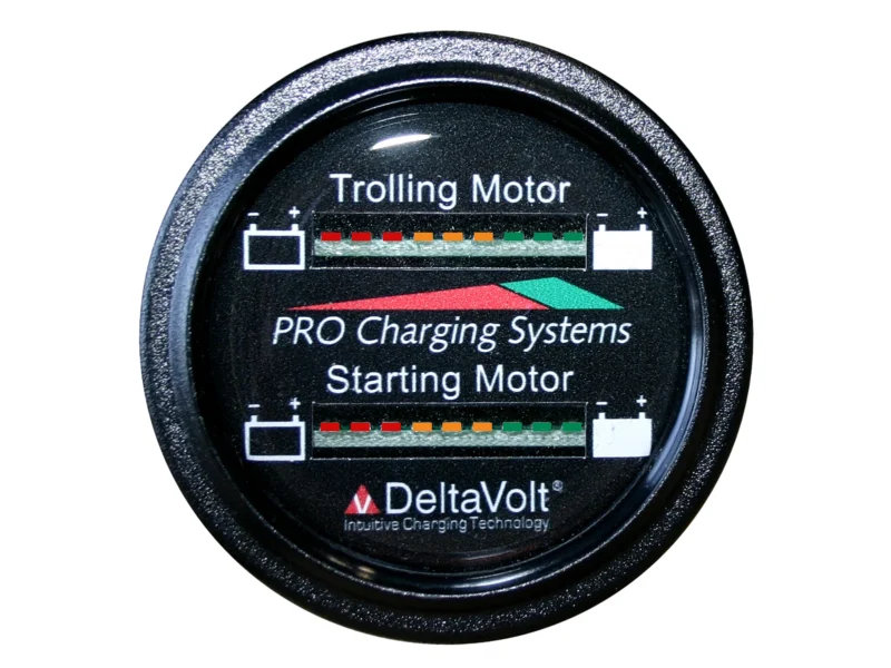 Dual Pro Battery Fuel Gauge For 2 - 12v Systems