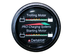 Dual Pro Battery Fuel Gauge For 1 - 24v, 1 -12v  Systems