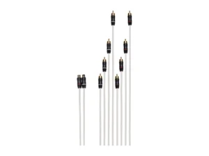Fusion RCA Splitter Cable 2 Female RCAfts to 8 Male RCAf