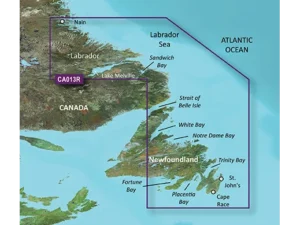 Garmin VCA013R G3 Vision Labrador Coast