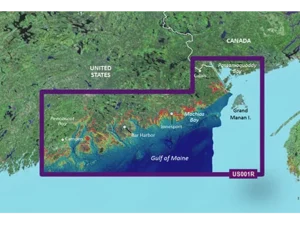 Garmin VUS001R G3 Vision North Maine