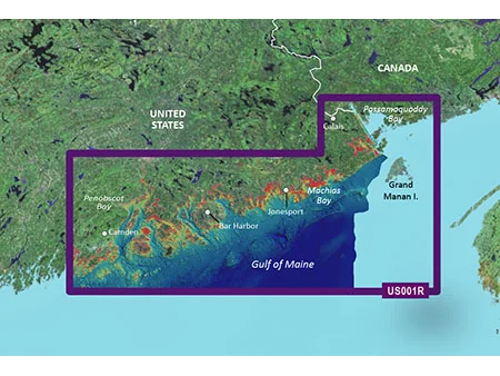Garmin VUS001R G3 Vision North Maine
