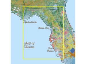 Garmin Florida West Pen Standard Mapping Premium
