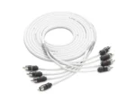 JL Audio 12 ft 4 Channel Audio Interconnect Cable
