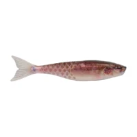 Berkley PowerBait® PowerStinger - 3.5" - HD Mud Minnow BSWPBSPS3.5-HDMM