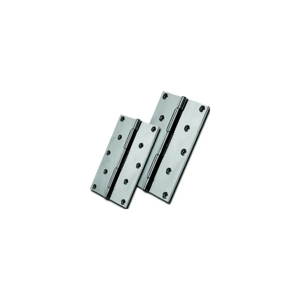 Transom Door Hinge