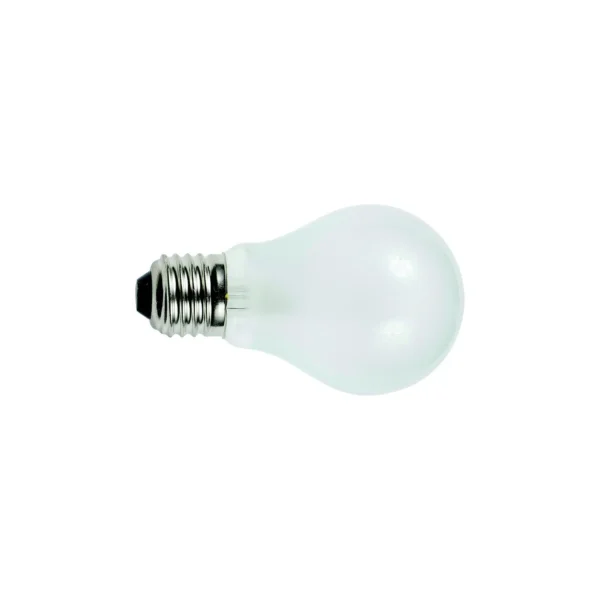 Ancor Light Bulb, Medium Screw Standard Base (2 Per Pack)