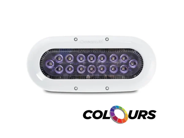 Ocean LED X-Series X16 - Colors LEDs