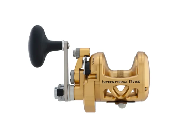 PENN INT16VISX International 16VISX Reel - Gold - Image 3