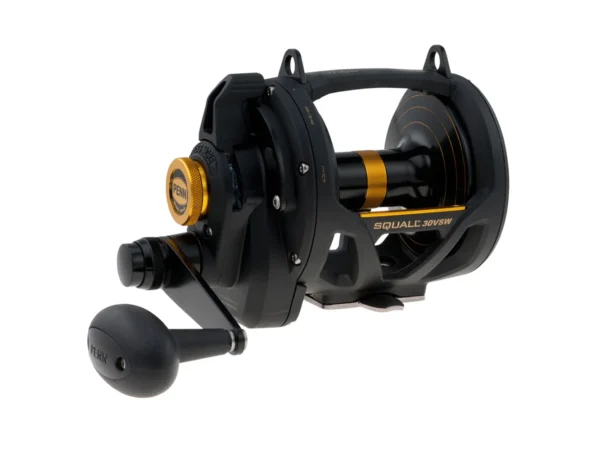 PENN SQL30VSW Squall® Lever Drag 2 Speed Conventional Reel