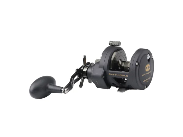 PENN FTHII25NSDP Fathom® II Star Drag Conventional Reel - Image 2