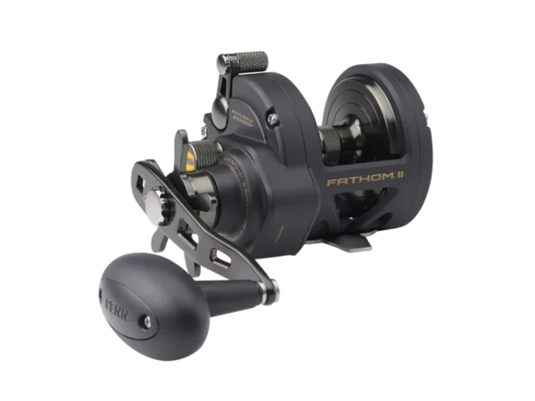 PENN FTHII25NSDP Fathom® II Star Drag Conventional Reel