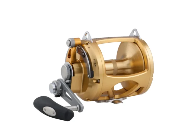 PENN International 80 VISW INT80VISW 2-Speed Conventional Reel - Gold