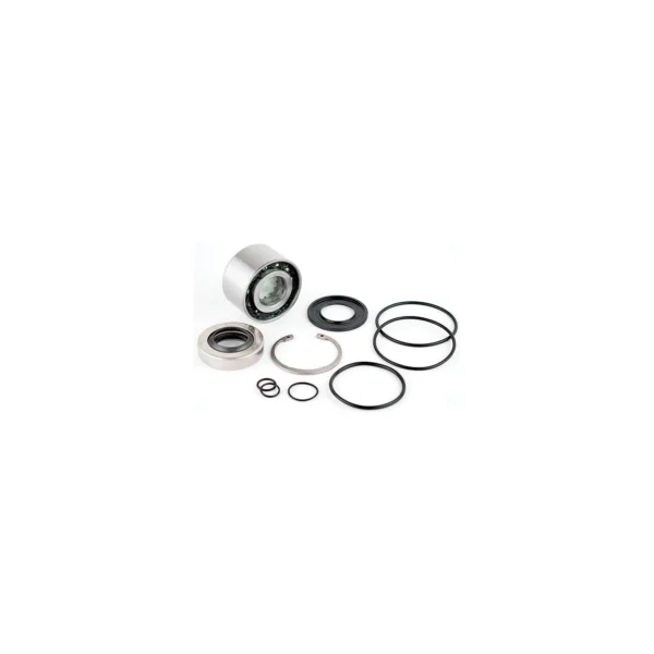 WSM Performance 003644 Jet Pump Repair Kit: Sea-Doo 1503 4-Tec