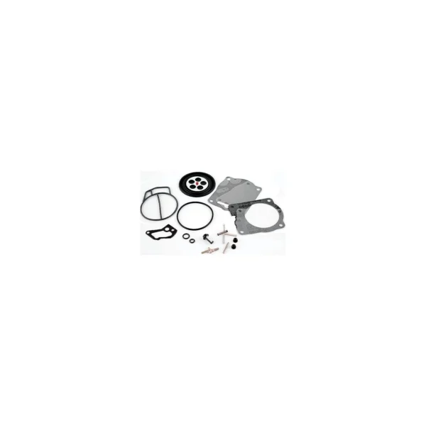 WSM 006352 Carburetor Rebuild Kit, Yamaha