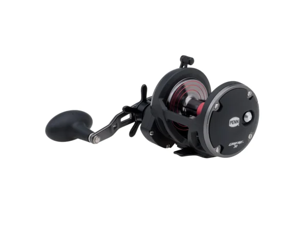 PENN WAR30 Warfare™ 30 Star Drag Conventional Reel