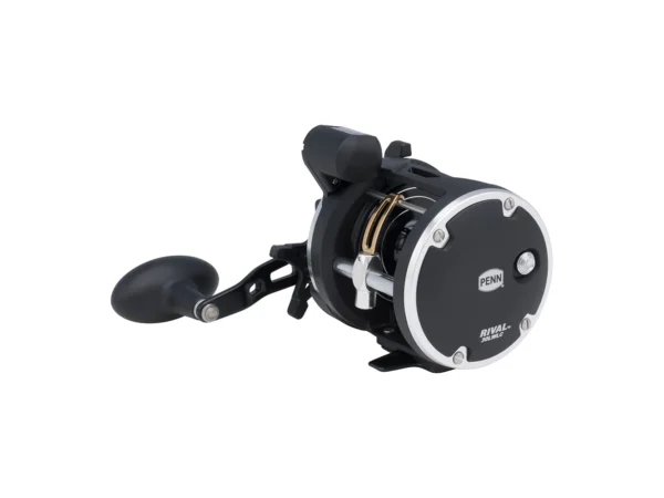 PENN RIV30LWLC Rival 30 Level Wind Reel w/Line Counter - Image 2