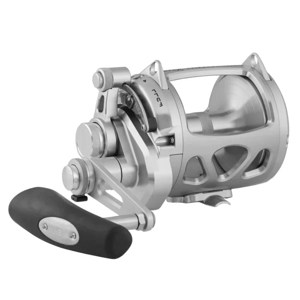 PENN International 30 VISWS INT30VISWS 2-Speed Conventional Reel - Silver