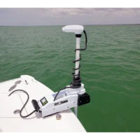 RHODAN G5 White 24v 60in Trolling Motor