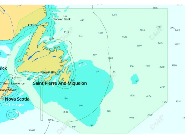 C-MAP M-NA-D937 4D Local Newfoundland