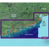 Garmin VUS001R G3 Vision North Maine