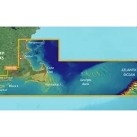 Garmin VUS003R G3 Vision Cape Cod