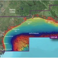 Garmin VUS014R G3 Vision Morgan City To Brownsville