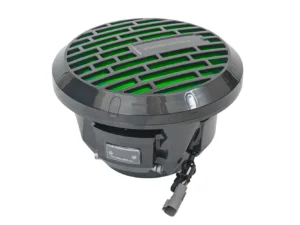 Roswell RMA 10" Subwoofer - Black - 250W RMS & 500W Peak Power