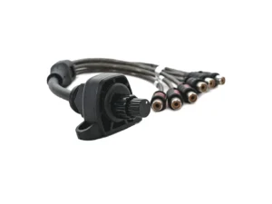 Roswell Dual Zone Volume Control
