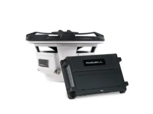 Roswell RMA 10" Subwoofer Package - Black