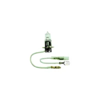 Anderson 55 Watt Replacement Bulb For Halogen Docking Light