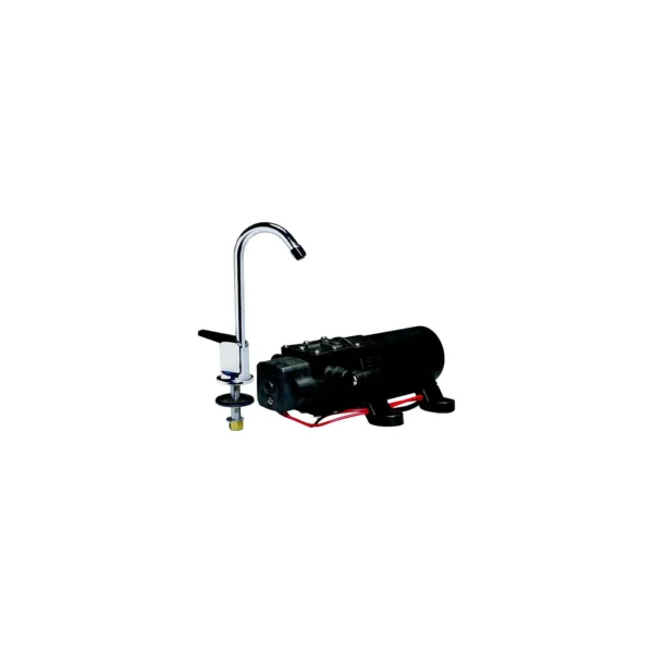 WPS Water Pump & Faucet Combo