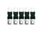 Victron MEGA-Fuse 300A/80V Ceramic (Package of 5 Pieces)