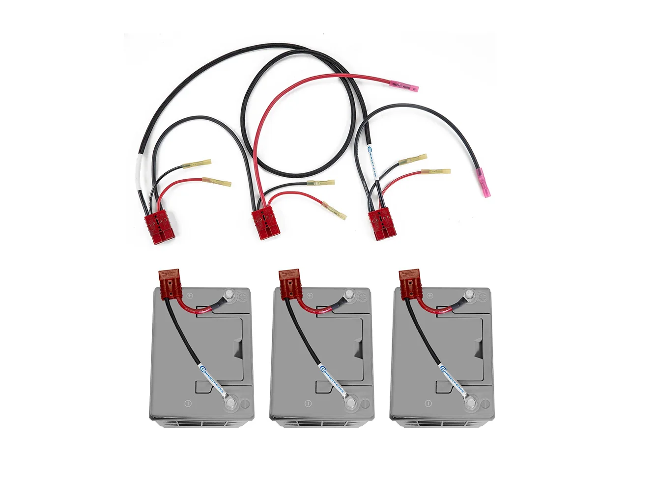 Connect-Ease 36V Trolling Motor Separated Battery System