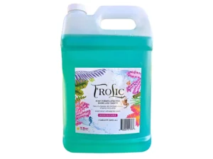 TD Mop Frolic Soap - 1 Gallon