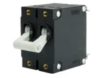 Egis A Series White Toggle Panel Mount Circuit Breaker - Dual Pole 15A