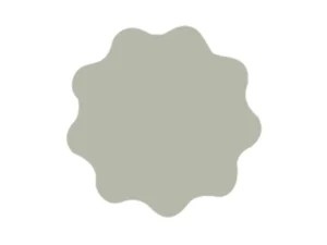 RUPES MICROFINISH Adhesive Denibbing Discs 35MM (1.25") - P2000 Grit *Box of 100