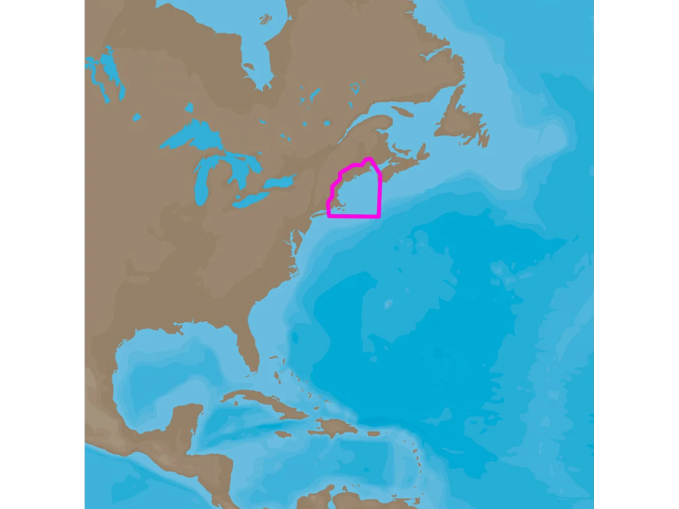 C-MAP 4D NA-D939 Passamaquoddy Bay to Block Island