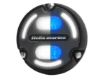 Hella Marine Apelo A2 Blue White Underwater Light - 3000 Lumens - Black Housing - Charcoal Lens w/Edge Light