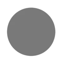 RUPES WETFINISH Foam Abrasive Discs 125mm (5") P3000 Grit - Grey *Box of 20pcs