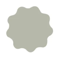 RUPES MICROFINISH Adhesive Denibbing Discs 35mm (1.25") - P3000 Grit *Box of 100