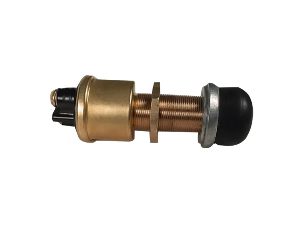 Raritan Heavy-Duty Push Button Switch - Brass - Image 2
