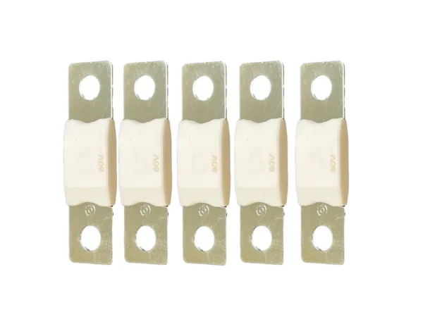 Victron MEGA Fuse 100A/80V (Package of 5 Pieces)