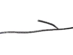 CAMERON CONNECT 10TC-BLACK 100' | 10TC-BLACK 100