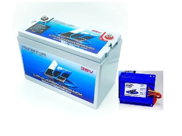 LITHIUM PROS Lithium Pros Battery Kit, M3167-36 and DC Charger Bluetooth | L3167-36CK | M31-36CK | DROP SHIP ITEM, FREE FREIGHT