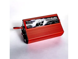 LITHIUM PROS Li-Ion IntelliCharger, 10A/29.2VDC  (Input:  110/240VAC) Dry use only | 1018 **DROP SHIP ITEM, FREE FREIGHT**
