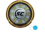 SHADOW-CASTER 24 LEDs Bronze Underwater Marine Light - Blue & White | SCR-24-BW-BZ-10