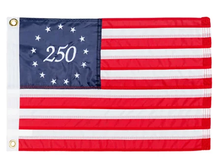 Taylor Made 12in x 18in 250 Years of Freedom American Flag