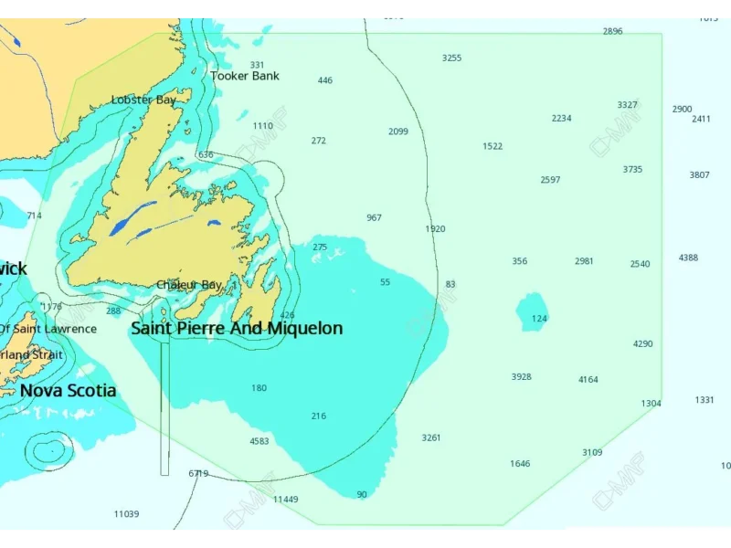 C-MAP M-NA-D937 4D Local Newfoundland